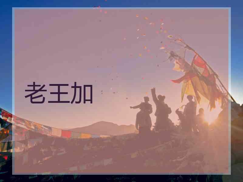 老王加