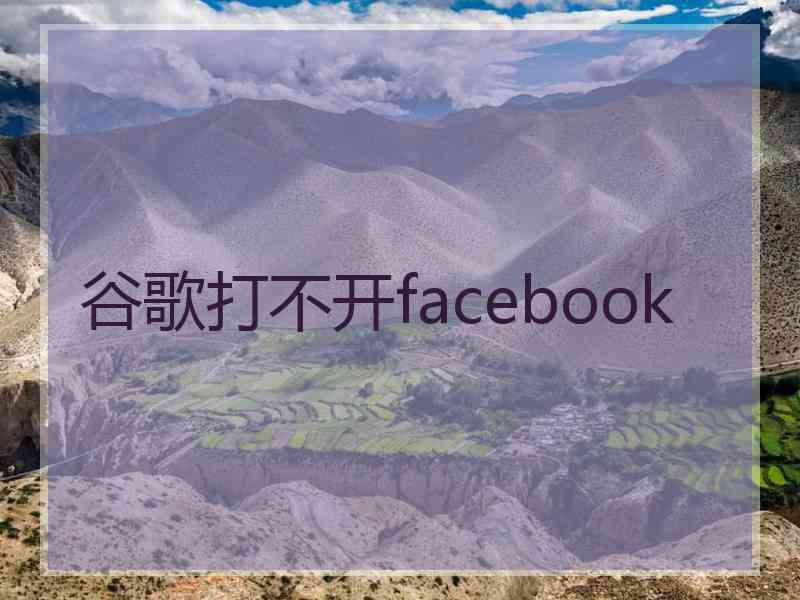 谷歌打不开facebook