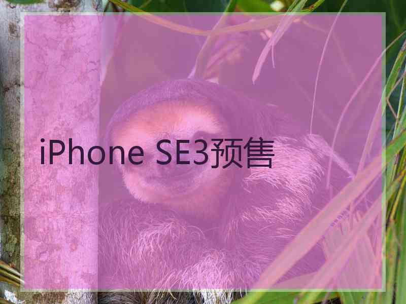 iPhone SE3预售
