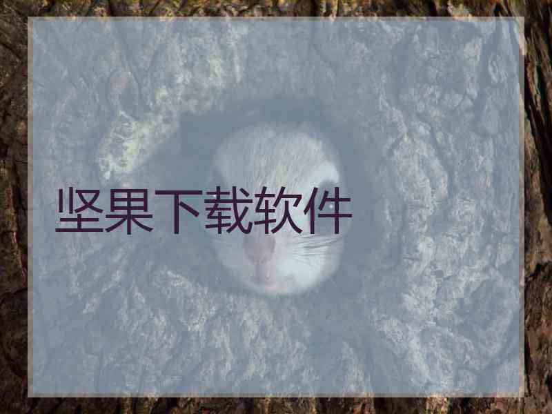 坚果下载软件