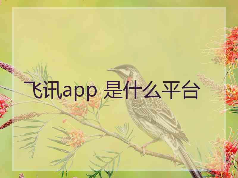 飞讯app 是什么平台