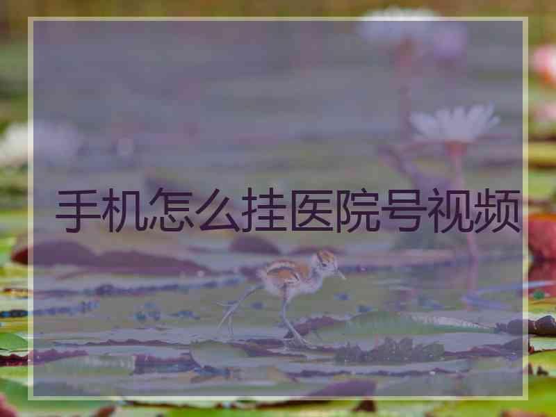 手机怎么挂医院号视频