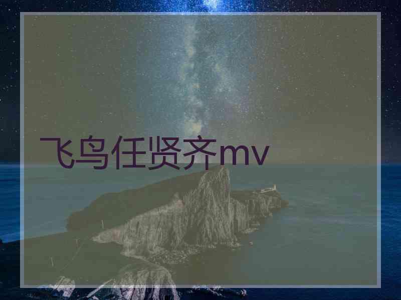 飞鸟任贤齐mv