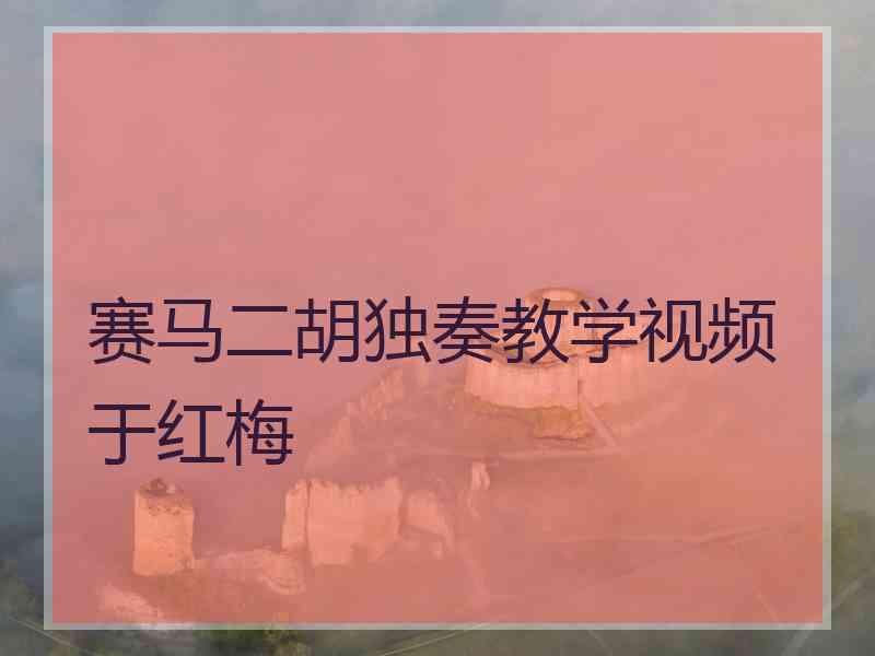 赛马二胡独奏教学视频于红梅