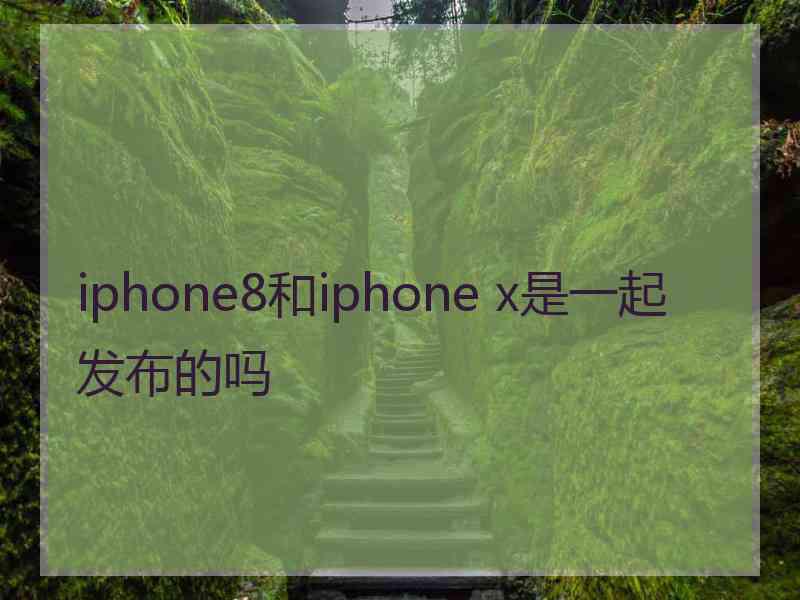 iphone8和iphone x是一起发布的吗