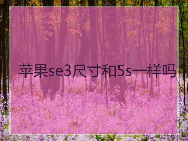 苹果se3尺寸和5s一样吗