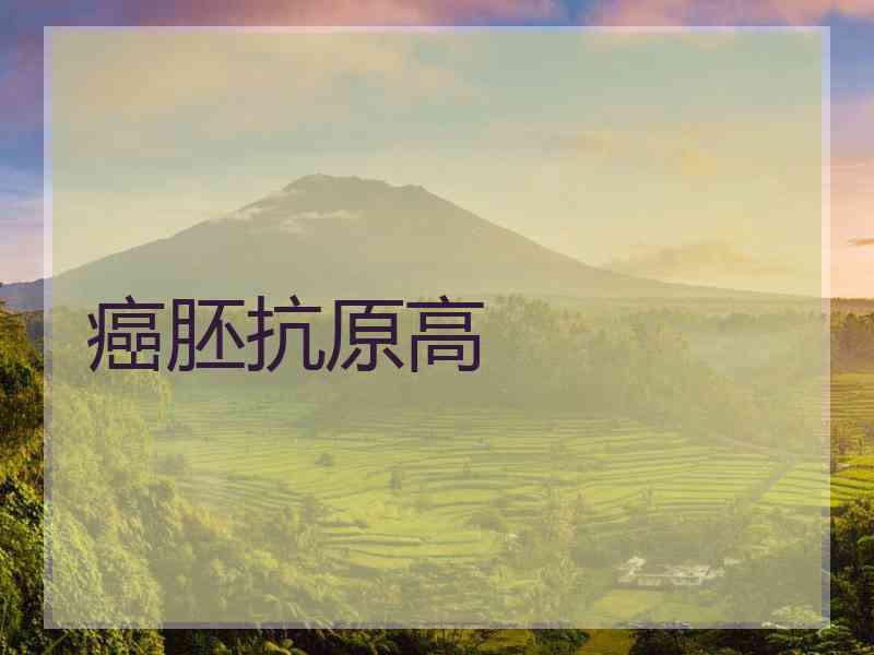 癌胚抗原高