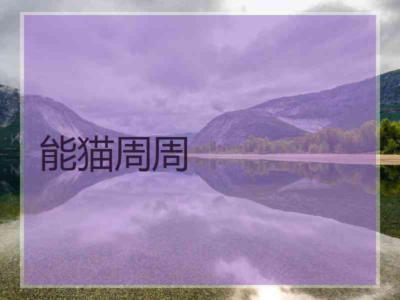 能猫周周