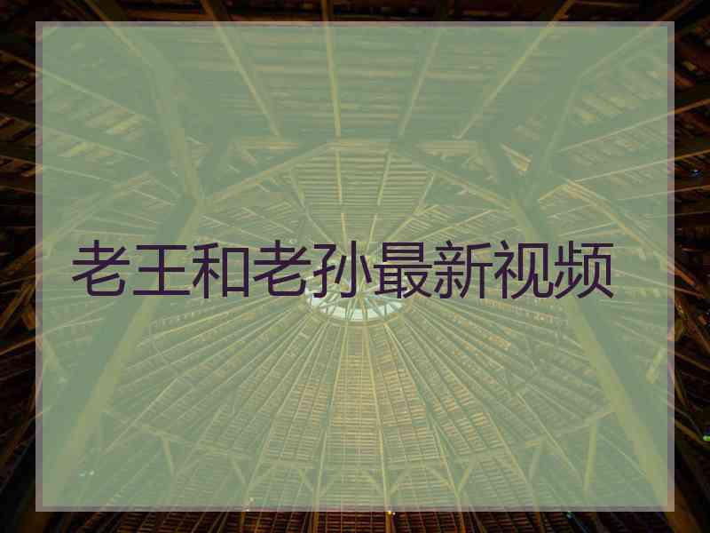 老王和老孙最新视频