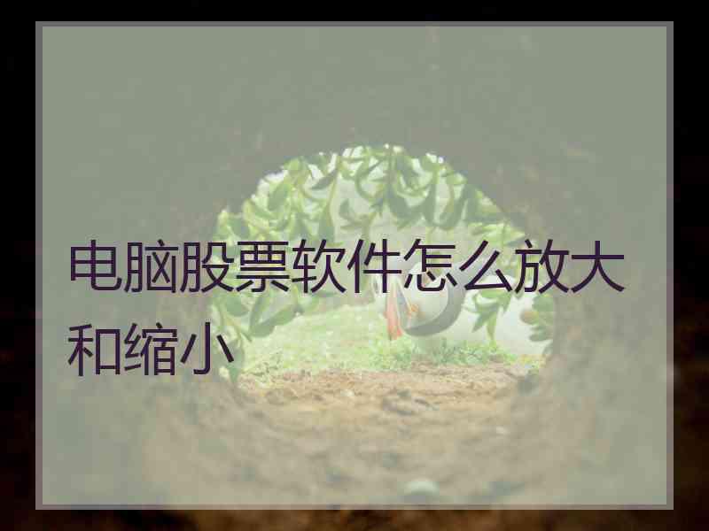 电脑股票软件怎么放大和缩小