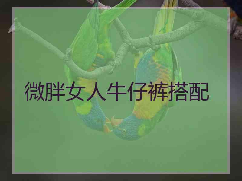 微胖女人牛仔裤搭配
