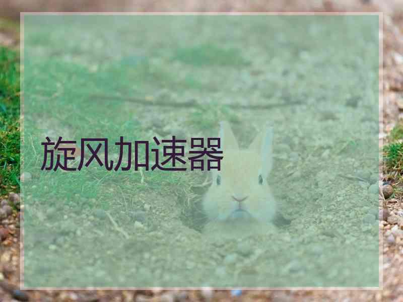 旋风加速器