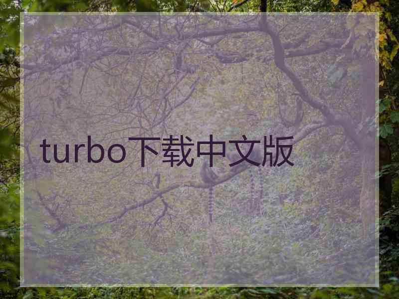 turbo下载中文版