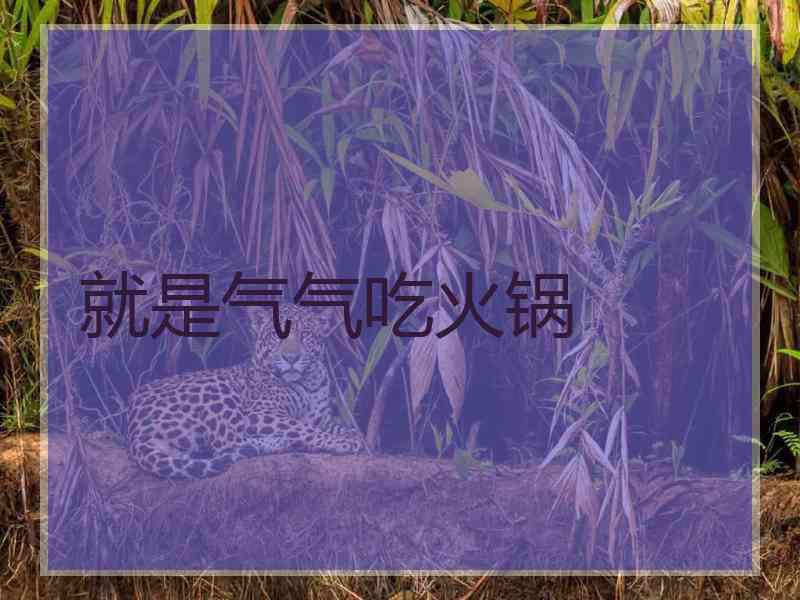 就是气气吃火锅