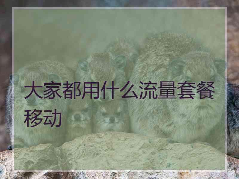 大家都用什么流量套餐移动