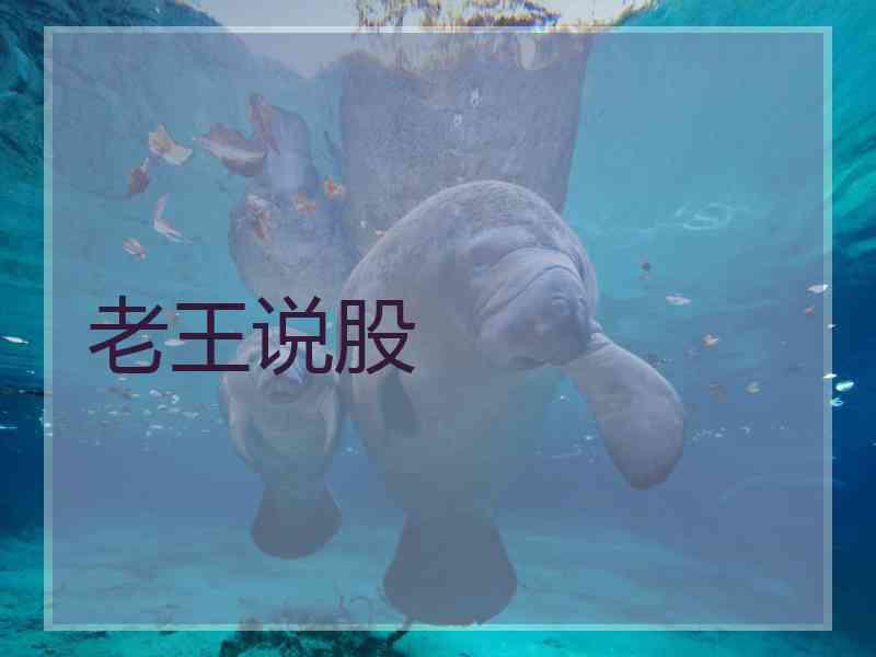 老王说股