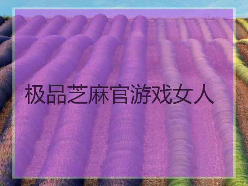 极品芝麻官游戏女人