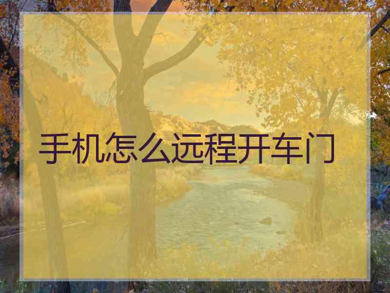 手机怎么远程开车门