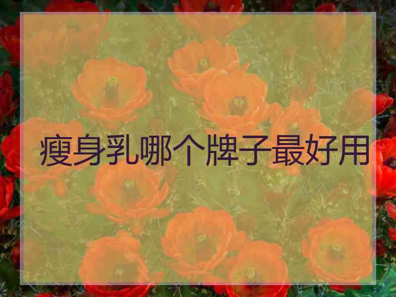 瘦身乳哪个牌子最好用