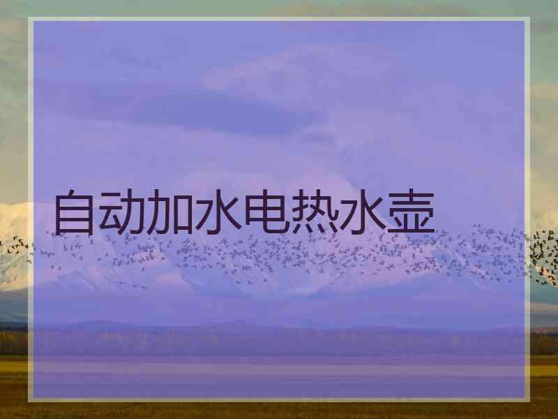 自动加水电热水壶