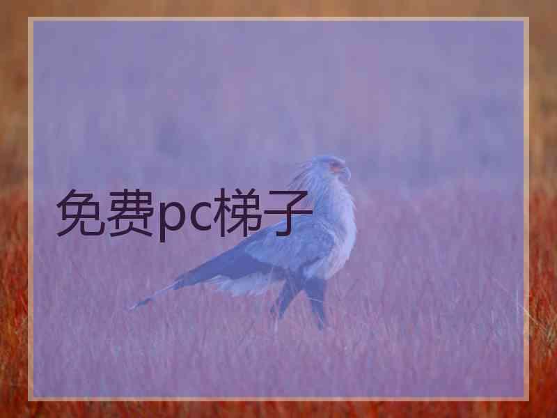 免费pc梯子