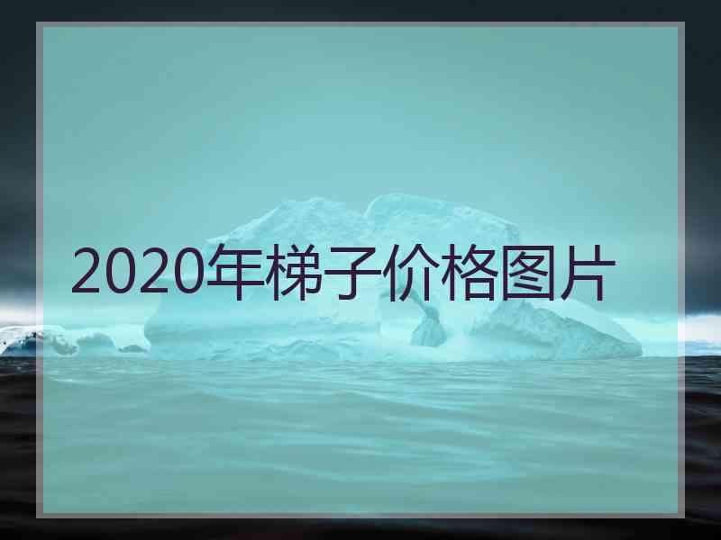 2020年梯子价格图片