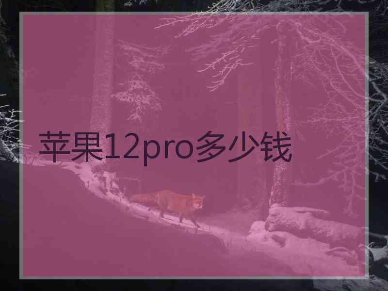 苹果12pro多少钱