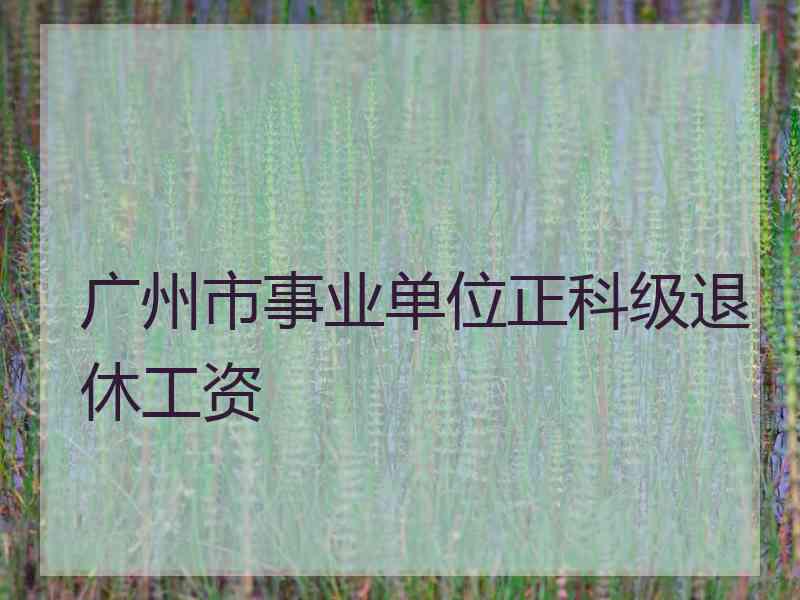广州市事业单位正科级退休工资