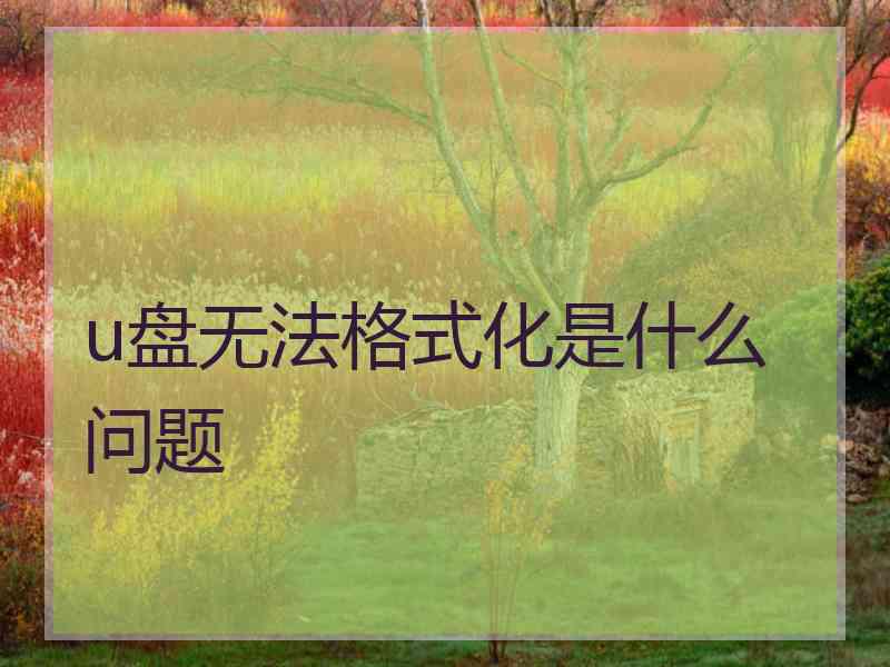 u盘无法格式化是什么问题