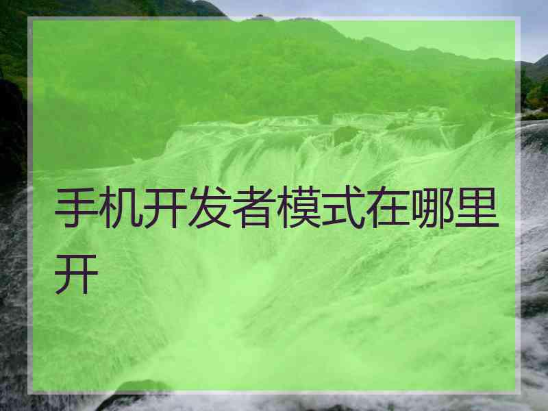 手机开发者模式在哪里开
