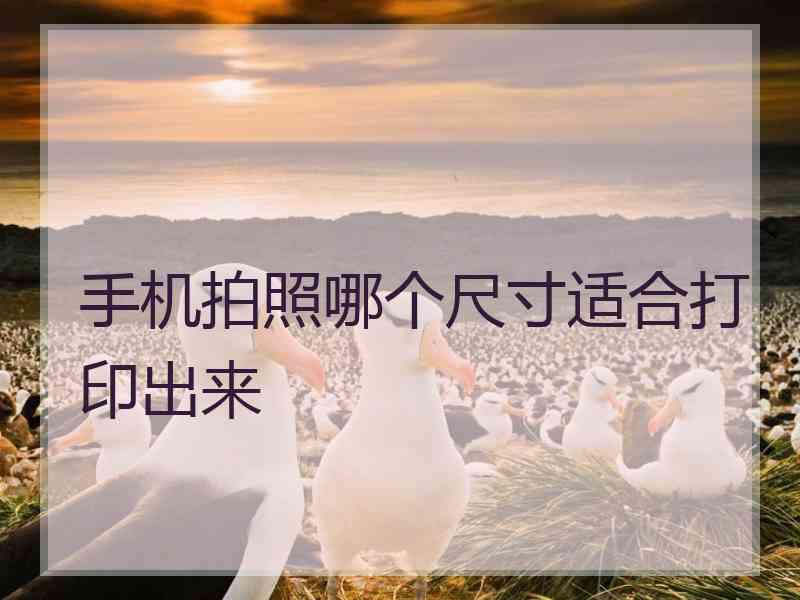 手机拍照哪个尺寸适合打印出来