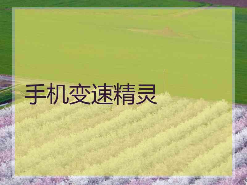 手机变速精灵