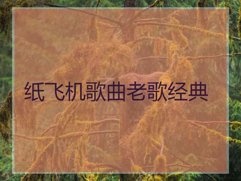 纸飞机歌曲老歌经典