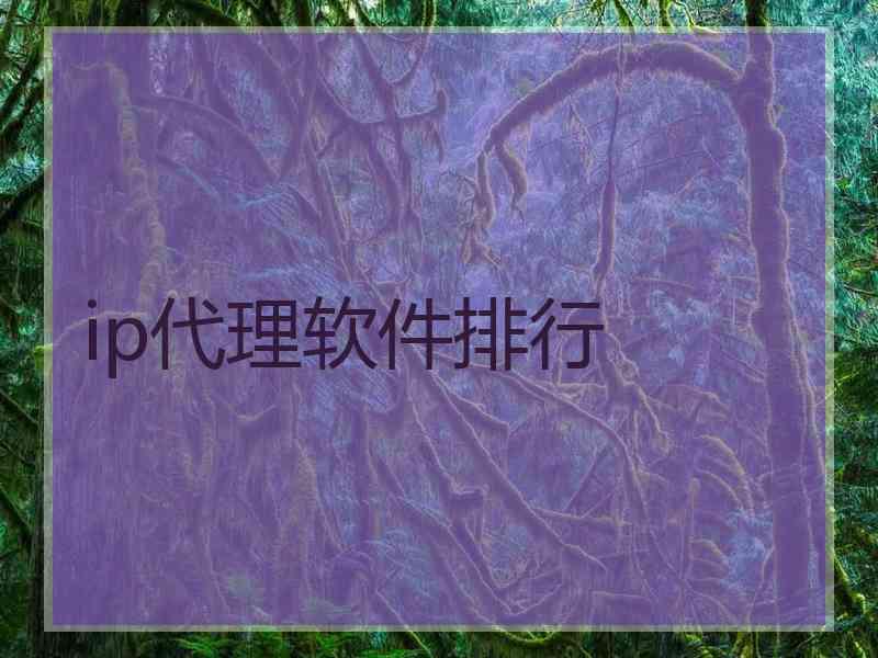 ip代理软件排行