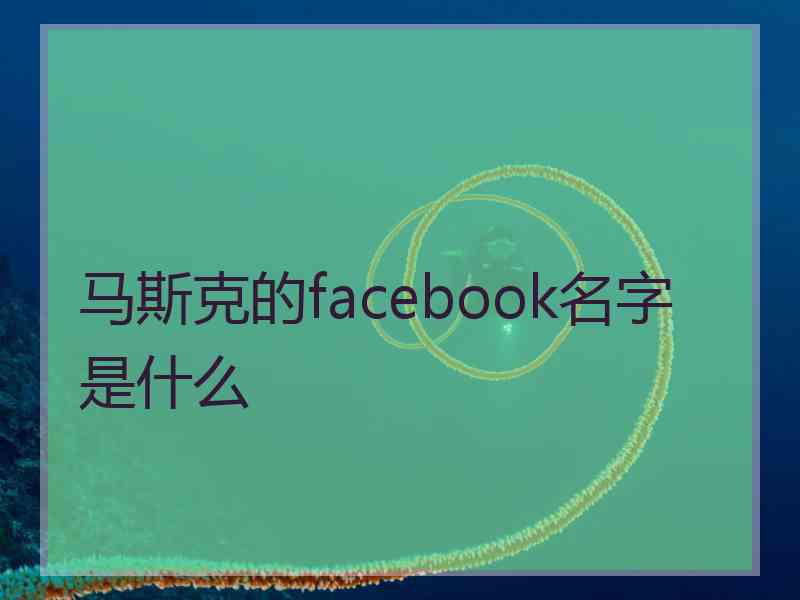 马斯克的facebook名字是什么