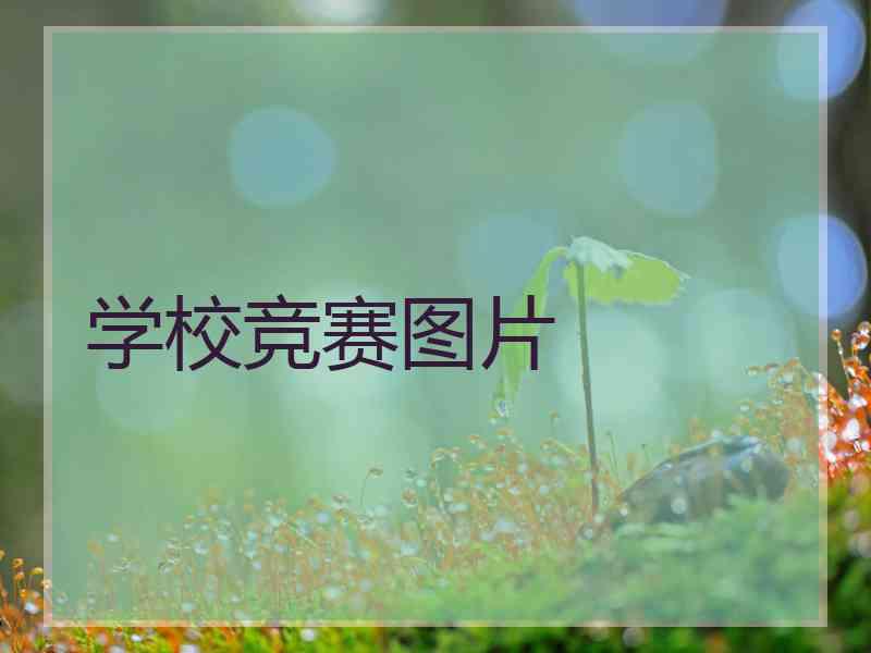 学校竞赛图片