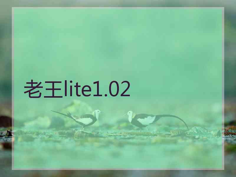 老王lite1.02