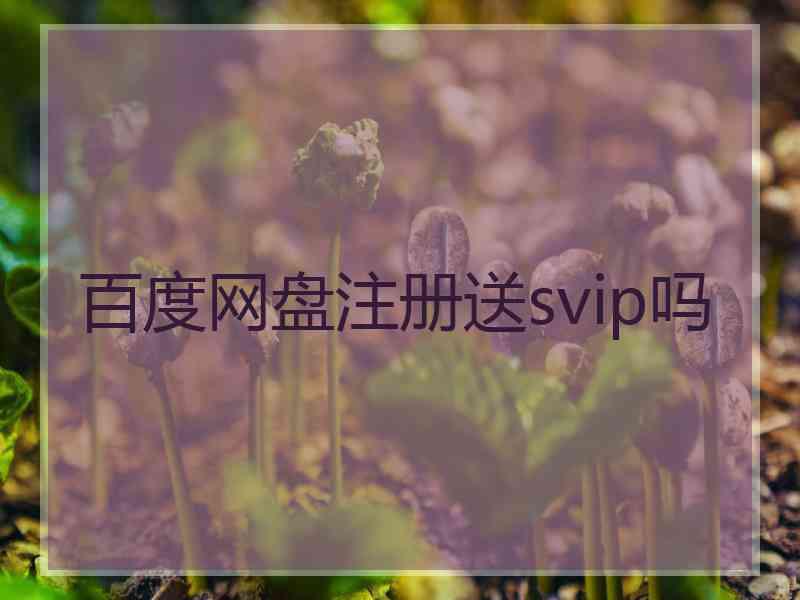 百度网盘注册送svip吗