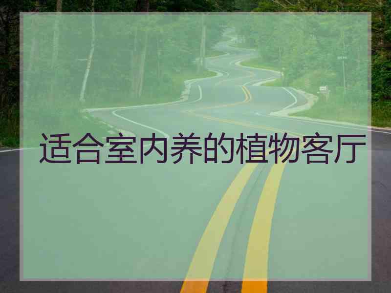适合室内养的植物客厅