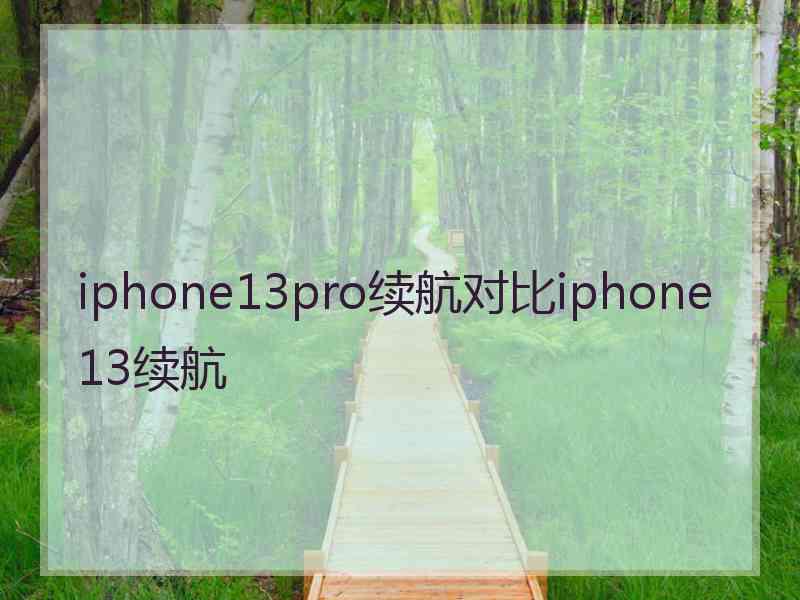 iphone13pro续航对比iphone13续航