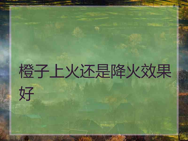 橙子上火还是降火效果好