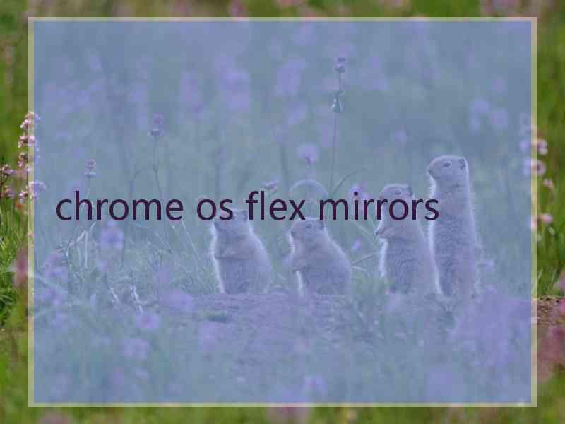 chrome os flex mirrors