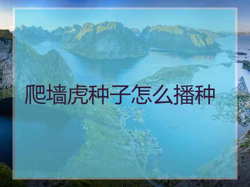 爬墙虎种子怎么播种