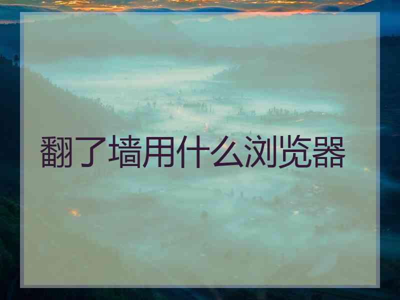 翻了墙用什么浏览器