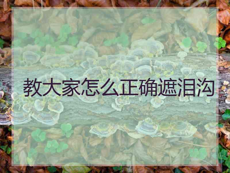 教大家怎么正确遮泪沟