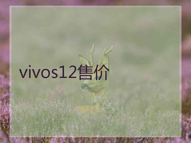 vivos12售价