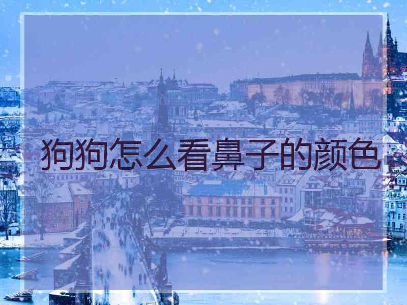 狗狗怎么看鼻子的颜色