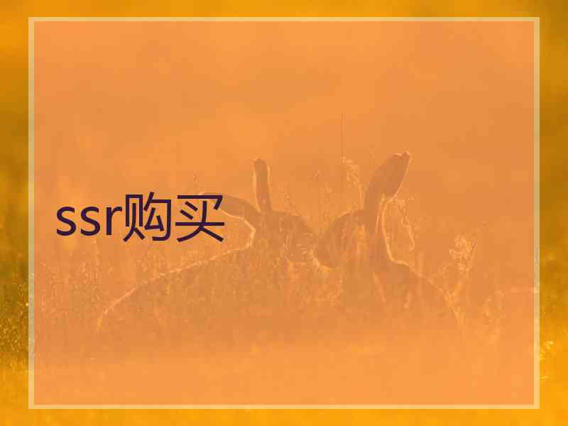 ssr购买
