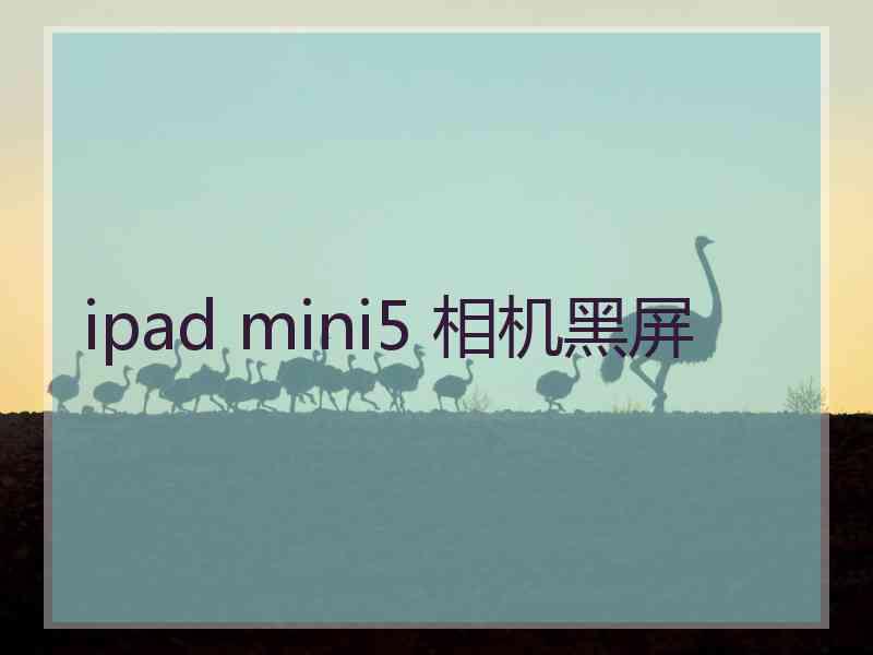 ipad mini5 相机黑屏