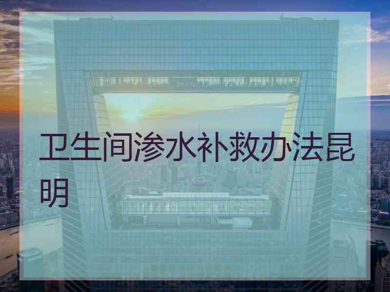 卫生间渗水补救办法昆明